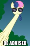  badumsquish bonbon_(mlp) equid equine eyewear female friendship_is_magic hair hasbro hi_res horse long_neck looking_at_viewer mammal model_sheet multicolored_hair my_little_pony pony solo sunglasses two_tone_hair 