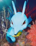  air_bubble bishamon_(usagi_ba) blurry bubble commentary_request full_body gen_2_pokemon highres kingdra looking_at_viewer no_humans pokemon pokemon_(creature) red_eyes seahorse underwater 