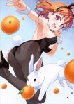  1girl :d animal_ears armpits ass bangs bare_back black_footwear black_legwear black_leotard blue_background blush breasts bunny detached_collar fake_animal_ears fake_tail fishnet_legwear fishnets food fruit gradient gradient_background heart high_heels kitahara_tomoe_(kitahara_koubou) leotard looking_at_viewer looking_back love_live! love_live!_sunshine!! mandarin_orange medium_breasts medium_hair nail_polish open_mouth orange_hair pantyhose playboy_bunny rabbit_ears rabbit_tail red_eyes sideboob sleeveless smile strapless strapless_leotard tail takami_chika upper_teeth wrist_cuffs 