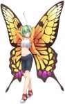  1girl antennae artist_request bike_shorts blush breasts butterfly_girl chitin compound_eyes crop_top extra_arms flare_(monster_musume) full_body game_cg green_hair hair_intakes insect_wings looking_at_viewer medium_breasts medium_hair midriff monster_musume_no_iru_nichijou monster_musume_no_iru_nichijou_online navel official_art red_footwear shoes smile sneakers tachi-e tank_top transparent_background white_tank_top wings yellow_eyes 