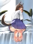  1girl absurdres animal_ears ass barefoot bed_sheet black_undershirt blue_sky blurry blurry_background brown_hair brown_tail commentary commission english_commentary eyelashes feet foot_focus from_behind full_body greek_toe high-waist_skirt highres kuroda_kunika leaning_forward looking_at_viewer looking_back medium_hair miniskirt nikishiko noble_witches on_bed panties pixiv_commission short_sleeves signature skirt sky smell soles solo steaming_body toenails toes undershirt underwear white_panties world_witches_series yellow_eyes 
