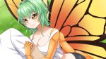  1boy 1girl antennae arm_hug artist_request bike_shorts blush breasts butterfly_girl chitin compound_eyes crop_top extra_arms flare_(monster_musume) game_cg grass green_hair hair_intakes insect_wings medium_breasts medium_hair midriff monster_musume_no_iru_nichijou monster_musume_no_iru_nichijou_online official_art smile tank_top white_tank_top wings yellow_eyes 
