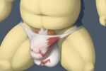 bulge clothing generation_2_pokemon generation_3_pokemon genitals hi_res male nintendo penis pokemon pokemon_(species) repeated solo transformation typhlosion underwear zangoose