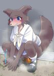 anthro beastars blue_eyes blush bodily_fluids brown_body brown_fur brown_tail canid canine canis cheek_tuft clothed clothing clothing_around_one_leg facial_tuft feces female fur juno_(beastars) mammal panties panties_around_one_leg panties_down partially_clothed pooping scat solo sweat tail tears tuft underwear underwear_around_one_leg underwear_down unoroute unousaya wolf