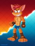 absurd_res activision anklet anthro bandicoot bottomwear clothing crash_bandicoot crash_bandicoot_(series) gloves handwear hi_res jewelry male mammal marsupial mma renthecat short_pants solo