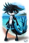 2011 2:3 anthro beach big_eyes black_body black_clothing black_fur black_hair black_jacket black_tail black_topwear blue_bottomwear blue_clothing blue_eyes blue_flip_flops blue_hair blue_pants blue_sky blue_tail bottomwear canid canine cheek_tuft chest_tuft chibi clothed clothing dated facial_tuft fox front_view full-length_portrait fur glistening glistening_eyes hair hi_res jacket looking_at_viewer male mammal mountain multicolored_hair open_clothing open_jacket open_mouth open_smile open_topwear outside pants penguinexperience pool_toy portrait signature sky smile solo standing tail topwear tuft two_tone_hair water white_body white_fur white_nose