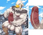 abs absurd_res avian balls beak biceps bird blush bodily_fluids braided_pseudo_hair breath_of_the_wild building city cock_vore cum erection feathers genital_fluids genitals hi_res internal macro maldu male masturbation multiple_prey muscular muscular_male nintendo penile penis precum rito sitting sitting_on_building solo teba_(tloz) the_legend_of_zelda togepi1125 urethra vore white_body white_feathers