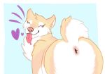 ambiguous_gender anus butt canid canine canis digital_media_(artwork) domestic_dog feral fur mammal shiba_inu simple_background solo spitz stardustspears tail tongue