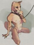 2024 anthro blue_eyes brown_body collar cougar featureless_crotch felid feline kneeling leash leashed_collar male mammal raitlin runasolaris simple_background solo submissive submissive_male whiskers