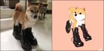  animal_focus ankle_boots black_footwear boots cross-laced_footwear dog highres keke_(kokorokeke) no_humans notice_lines original parted_lips pink_background reference_photo_inset shiba_inu simple_background smile 