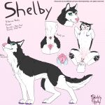 female feral hi_res sketchy_shelby solo