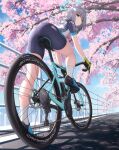 1girl absurdres animal_ear_fluff animal_ears bicycle bike_jersey bike_shorts biker_clothes blue_archive blue_eyes blue_halo blush bottle breasts cherry_blossoms cross_hair_ornament cycling_uniform extra_ears from_below gloves green_gloves grey_hair hair_ornament halo highres leg_up looking_at_viewer looking_back medium_breasts mismatched_pupils official_alternate_costume outdoors riding riding_bicycle shiroko_(blue_archive) shiroko_(cycling)_(blue_archive) solo topgear water_bottle wolf_ears 