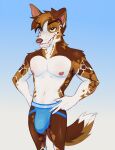 anthro brown_body brown_fur brown_hair bulge canid canine canis clothed clothing domestic_dog fangs fur genital_outline gradient_background grin hair half-closed_eyes herding_dog heresvix hi_res jockstrap jockstrap_only male mammal narrowed_eyes pastoral_dog simple_background smile solo teeth topless underwear underwear_only white_body white_fur