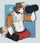 anthro biceps bodily_fluids canid canine canis clothed clothing collar domestic_dog exercise male mammal muscular muscular_male seductive solo strayserval sweat topless weights workout
