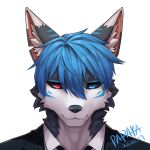 1:1 2024 anthro black_sclera blue_eyes blue_hair blue_markings blue_stripes bust_portrait canid clothed clothing dated dipstick_ears ear_markings front_view fur glistening glistening_eyes grey_body grey_fur hair heterochromia hi_res inner_ear_fluff looking_at_viewer male mammal markings mouth_closed multicolored_ears narrowed_eyes papayafurry portrait red_eyes short_hair signature simple_background solo stripes tuft white_background white_body white_fur white_inner_ear_fluff