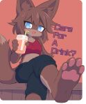 2024 4_fingers 4_toes anthro barefoot beverage black_nose blue_eyes blush bottomwear bra breasts brown_body brown_fur brown_hair canid canine clothed clothing container cup cute_fangs digital_media_(artwork) drinking_glass drinking_straw english_text feet female female_anthro fingers foot_focus fox fur glass glass_container glass_cup hair hi_res holding_beverage holding_container holding_cup holding_object inner_ear_fluff kemono looking_at_viewer mammal midriff multicolored_body multicolored_fur newbear open_mouth pants pawpads paws sitting small_breasts soles solo sports_bra tan_body tan_fur text toes tongue tuft two_tone_body two_tone_fur underwear