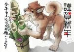 2017 anthro artist_name bamboo brown_body brown_fur canid canine canis countershading digital_media_(artwork) domestic_dog fangs fur geppei5959 grey_nose hi_res holidays inner_ear_fluff japanese_text kemono leaning leaning_forward male mammal new_year nude plant red_eyes shadow shiba_inu simple_background smile solo spitz tan_body tan_countershading tan_fur tan_inner_ear tan_inner_ear_fluff teeth text tuft white_background