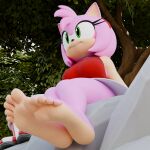 3d_(artwork) 5_toes accessory amy_rose anthro barefoot boots_removed clothing digital_media_(artwork) dress eulipotyphlan feet female foot_focus hair_accessory hairband hedgehog hi_res humanoid_feet mammal plant plantigrade rock sega sitting soles solo sonic_the_hedgehog_(series) toes tree twintails3d