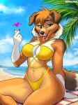 2024 5_fingers anthro beach bikini bikini_bottom bikini_top breasts brown_body brown_fur brown_hair brown_nose canid canine canis claws cleavage clothed clothing collie domestic_dog fangs female finger_claws fingers fur hair herding_dog hi_res humanoid_hands mammal multicolored_body multicolored_fur navel nliiz open_mouth open_smile outside pastoral_dog rough_collie sand sea sheepdog smile solo stacy_(grimsilverfire) swimwear teeth tongue tongue_out two_tone_body two_tone_fur water white_body white_fur yellow_bikini yellow_bikini_bottom yellow_bikini_top yellow_clothing yellow_swimwear