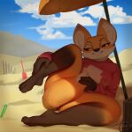 anthro beach biped bottomless canid canine clothed clothing female fox fur lucy_(sniffsnorf) mammal orange_body orange_fur smile sniffsnorf solo tail