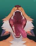 2024 ambiguous_gender anthro bodily_fluids brown_nose bust_portrait canid cheek_tuft dated ears_back facial_tuft famir_(artist) fangs front_view fur gradient_background hi_res mammal mouth_shot obscured_eyes open_mouth orange_body orange_fur pink_tongue pivoted_ears portrait saliva saliva_string signature simple_background solo teeth tongue tongue_out tuft whiskers white_body white_fur