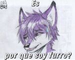  anthro black_nose canid canine fox fur hair hi_res male mammal meme purple_eyes purple_hair solo spike_the_furry traditional_media_(artwork) white_body white_fur 