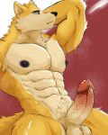 abs absurd_res anthro balls biceps canid canine canis casual_erection casual_nudity domestic_dog erection fur genitals hi_res humanoid_genitalia humanoid_penis male mammal manly muscular muscular_anthro muscular_male navel nipples nnknwnn_(artist) nude obliques pecs penis serratus simple_background solo tail