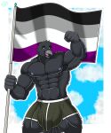  absurd_res asexual_pride_colors avian bird boxer_briefs boxers_(clothing) bulge clothing corvid corvus_(genus) crow detailed_bulge dorky flag flag_(object) genital_outline headgear hi_res holding_flag holding_object humanoid lgbt_pride male mike_dramon_(artist) muscular muscular_male nipples oscine passerine pecs pride_colors solo underwear 