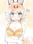 1girl ? absurdres animal_ear_fluff animal_ears bikini brown_hair caracal_(kemono_friends) cat_ears cat_tail collarbone embarrassed extra_ears fang grey_eyes highres holding_own_arm kemono_friends looking_at_viewer open_mouth orange_bikini short_hair skin_fang solo spoken_question_mark suicchonsuisui swimsuit tail 