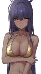  1girl absurdres bikini black_hair blue_archive blush breasts choker cleavage closed_mouth collarbone commentary_request dark-skinned_female dark_skin gold_bikini gold_choker halo highres karin_(blue_archive) large_breasts long_hair navel purple_halo simple_background swimsuit takeda_yousuke white_background yellow_eyes 