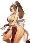  1girl absurdres breasts brown_hair cleavage fatal_fury high_ponytail highres large_breasts looking_at_viewer ninja pelvic_curtain revealing_clothes sep_rina shiranui_mai smile solo the_king_of_fighters thighs 
