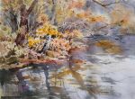  akemisuisai autumn autumn_leaves branch day forest grass nature no_humans original painting_(medium) reflection reflective_water river riverbank scenery sunlight traditional_media tree tree_shade water watercolor_(medium) 