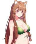 1girl absurdres alternate_costume animal_ear_fluff animal_ears bikini blunt_bangs blush breasts brown_hair cchou cleavage closed_mouth commentary green_bikini hair_tubes highres light_smile long_hair looking_at_viewer medium_breasts raccoon_ears raccoon_girl raphtalia red_eyes signature simple_background solo stomach swimsuit tate_no_yuusha_no_nariagari upper_body white_background 