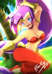  ijac_ray no_bra pointy_ears shantae shantae_(character) 