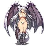  bikini gurimjang horns monster_girl pointy_ears swimsuits tail wings 