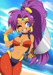  cinnaabunnii no_bra pointy_ears shantae shantae_(character) sword 