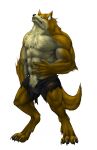 anthro canid canine canis captainjohkid clothed clothing digitigrade fur hi_res male mammal muscular muscular_anthro muscular_male orange_body orange_fur solo standing topless torn_clothing two_color_fur wolf yellow_body yellow_fur