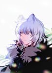  1boy animal_ears arknights black_jacket blurry blurry_foreground chinese_commentary closed_mouth commentary_request earrings expressionless fur-trimmed_jacket fur_trim hair_between_eyes highres jacket jewelry leaf lens_flare leopard_ears looking_away male_focus purple_eyes qiuxinxing short_hair silverash_(arknights) simple_background single_earring solo white_background white_hair 