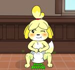 animal_crossing anthro blush canid canine canis clean_diaper clothed clothing crouching diaper diaper_fetish diaper_only digital_media_(artwork) domestic_dog english_text fart female fur hair hi_res hydroftt isabelle_(animal_crossing) mammal nintendo solo text topless wearing_diaper yellow_body yellow_fur
