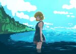  1girl bangs black_dress blonde_hair blue_sky breasts cloud commentary dress feet_out_of_frame green_eyes lake looking_at_viewer looking_to_the_side mizuhashi_parsee no_jacket pointy_ears rangycrow short_hair sky sleeveless sleeveless_dress small_breasts solo standing touhou tree water 