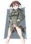  1girl animal_ears border brown_eyes brown_hair dragoncastle feet_out_of_frame floppy_ears gertrud_barkhorn grey_background hair_ornament hands_on_hips highres looking_at_viewer military military_uniform panties ribbon solo standing strike_witches underwear uniform white_border white_panties world_witches_series 