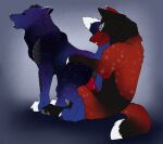  black_body black_fur black_nose blue_eyes canid canine duo erection fangs female female_penetrated feral feral_on_feral feral_penetrated feral_penetrating feral_penetrating_feral from_behind_position fur hi_res killthe_demon male male/female male_penetrating male_penetrating_female mammal open_mouth penetration penile penile_penetration penis_in_pussy purple_body purple_fur red_body red_fur sex side_view smile teeth tongue tongue_out vaginal vaginal_penetration 