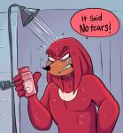 2025 5_fingers anthro bathing beastofeuthanasia black_eyes black_nose blue_wall bodily_fluids bottle chest_markings colored container crying digital_drawing_(artwork) digital_media_(artwork) echidna english_description english_text eyebrows fingers frown fur furrowed_eyebrows hair half-length_portrait holding_bottle holding_container holding_object holding_shampoo inside knuckles_the_echidna light lighting male mammal markings medium_hair monotreme nude_anthro nude_male portrait red_body red_eyebrows red_fur red_hair sega shaded shampoo shampoo_bottle sharp_teeth shower_curtain shower_head showering solo sonic_the_hedgehog_(series) speech_bubble standing tan_body tan_skin tears tears_of_pain teeth text thick_eyebrows tile tile_wall upset wall_(structure) wet wet_body wet_fur wet_hair white_markings yelling