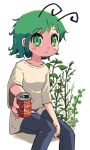  1girl alternate_costume antennae bangs blue_pants blush breasts can closed_mouth commentary eyebrows_visible_through_hair feet_out_of_frame green_eyes green_hair incoming_drink looking_at_viewer pants plant shirt short_hair sitting small_breasts smile soda_can solo t-shirt touhou ugif white_background white_shirt wriggle_nightbug 