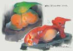  blue_eyes charmander charmeleon claws commentary_request fang fire flame gen_1_pokemon half-closed_eyes highres kikuyoshi_(tracco) leaf lying no_humans open_mouth pokemon pokemon_(anime) pokemon_(classic_anime) pokemon_(creature) signature tongue translation_request water_drop 