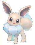  alternate_color eevee fangs full_body gen_1_pokemon grey_eyes highres kikuyoshi_(tracco) looking_at_viewer no_humans open_mouth pokemon pokemon_(creature) shiny_pokemon signature smile solo standing symbol-only_commentary toes 