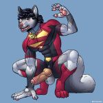 anthro athletic canid canine canis clothing collar colored_nails crouching curly_hair foreskin genitals hair half_naked hi_res humanoid_genitalia humanoid_penis hybrid_genitalia hybrid_penis knot knotted_humanoid_penis knotted_penis male mammal mythological_canine mythological_creature mythology nails painted_claws paw_boots penis pink_nose pullaskiart solo superhero tight_clothing vein veiny_penis werecanid werecanine werecreature werewolf wolf