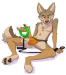 2021 anthro balls_outline brown_body brown_fur bulge canid canine canis clothed clothing collar coyote detailed_bulge featureless_chest fur genital_outline hi_res holding_collar holding_object jockstrap jockstrap_only leash leashed_collar male mammal orange_eyes penis_outline simple_background sitting solo tan_body tan_fur topless underwear underwear_only vanillayote white_background