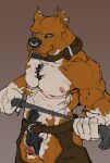 andromorph anthro big_clitoris bottomwear brown_background brown_body canid canine canis clitoral_hood clitoris clitoris_piercing clitoris_ring clothing collar crotchless_bottomwear crotchless_clothing crotchless_pants domestic_dog ear_piercing ear_ring facial_hair facial_piercing genital_piercing genitals hairy_pussy intersex lip_piercing mammal mastectomy_scar mrblackbird muscular muscular_andromorph muscular_anthro muscular_intersex nipples nose_piercing nose_ring pants piercing pit_bull pubes pussy pussy_piercing pussy_ring riding_crop ring_piercing scar simple_background solo standing trans_(lore) trans_man_(lore) visibly_trans whip white_body