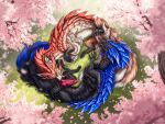 4:3 69_position animal_genitalia balls belly_up bird&#039;s-eye_view black_body black_scales blue_body blue_fur capcom cherry_blossom cherry_blossom_tree cherry_tree claws cunnilingus dead.akira dragon eastern_dragon erection finger_claws flower fluffy fluffy_tail fruit_tree fur genital_slit genitals grass grass_field hi_res high-angle_view knot knotted_penis laying_on_grass leviathan_(mh) licking mizutsune monster_hunter mythological_creature mythological_scalie mythology oral penile penis penis_lick personal_grooming pink_body pink_scales plant prunus_(flower) red_body scales scalie sex snout spread_legs spreading tail tales text toe_claws tongue tree url vagina vaginal vulva white_body white_fur